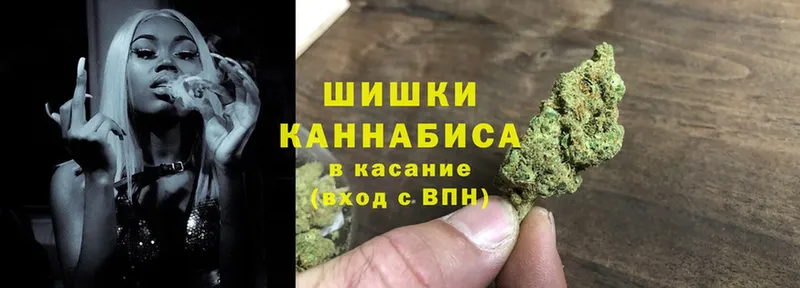 хочу   Устюжна  Канабис White Widow 